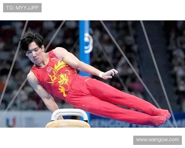 张博恒谈对体操未来的希望望